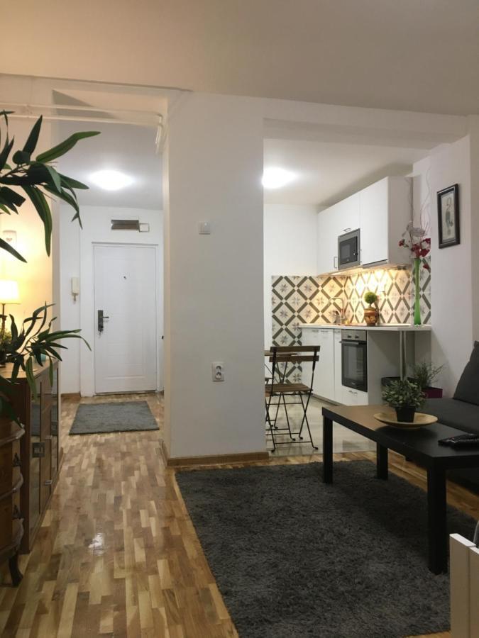 Apartamento Axis Mundi Belgrado Exterior foto